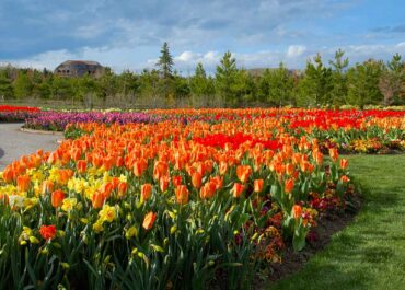 The Perfect Spring in Your Northern Utah Homes